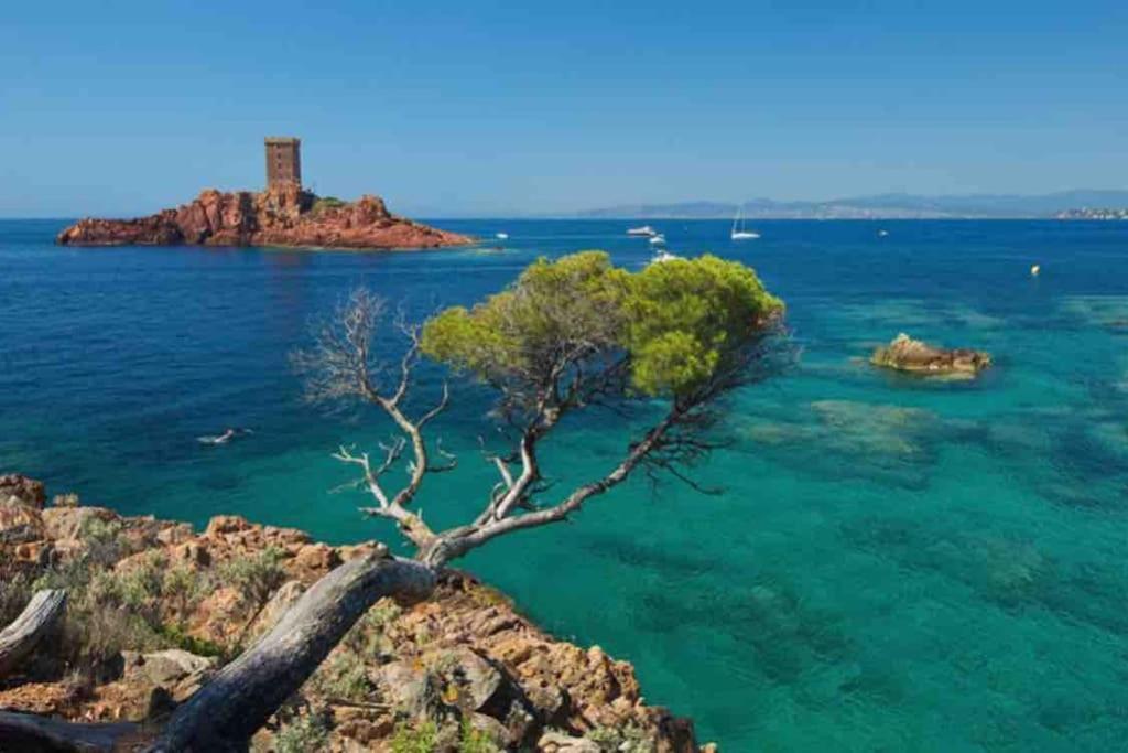 Mobilhome A Frejus A 15 Minute De La Mer Sur Terrain Independant Екстериор снимка